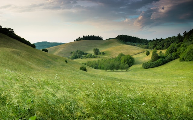 Vlastníte väčšinový podiel na pozemkoch? Vyporiadanie krok za krokom. 